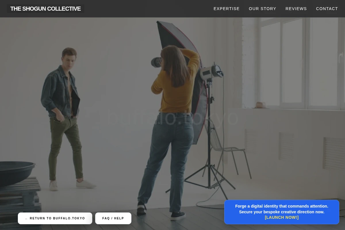 Cobalt Creative Direction